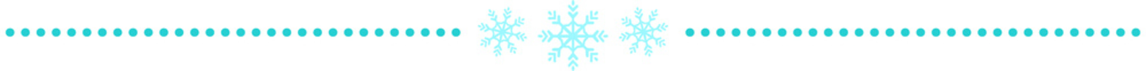 Snowflake Divider dot line 
