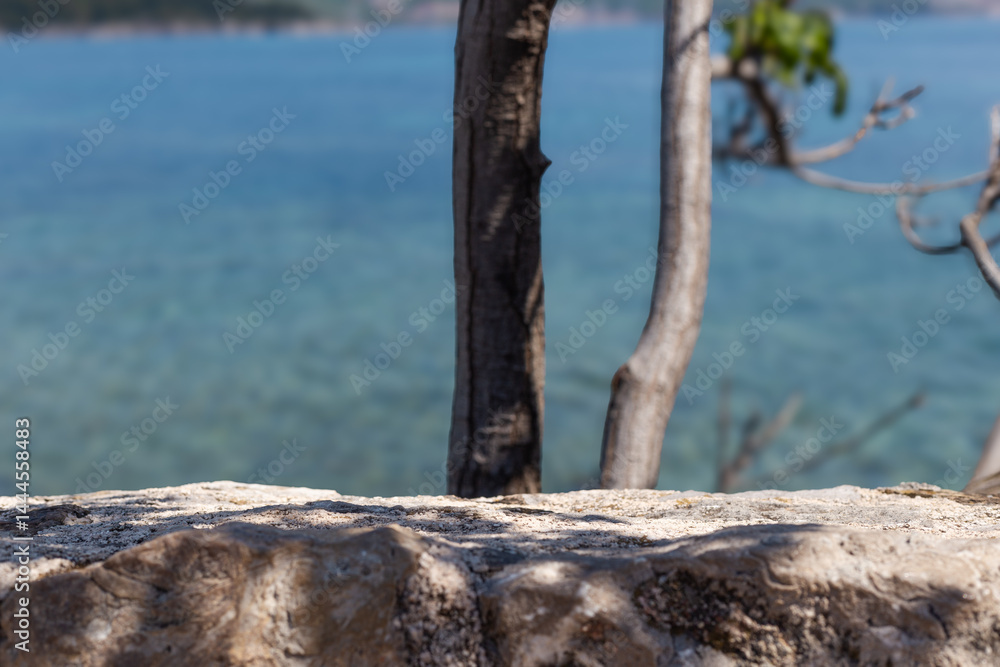 Poster summer copy space with blue sky and sea blurred backdrop. tropical summer vacation product placement