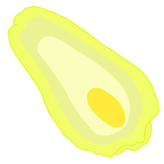 illustration depicts a lengthwise cut of a chayote squash, revealing its pale green flesh and single seed.