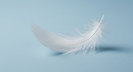 Single Delicate White Feather on Pale Blue Background