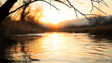 Fototapeta premium Sunset over a calm river with overhanging branches in nature