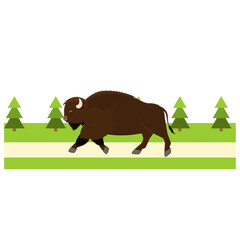 Bison. Bison animal runs in a rural landscape, vector illustration