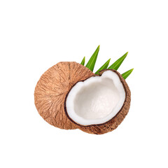 coconut on white background