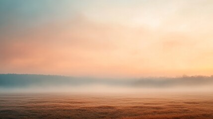 Naklejka premium Misty sunrise over a field of golden grass.