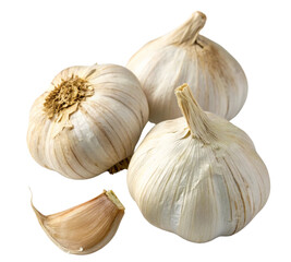 Solo garlic