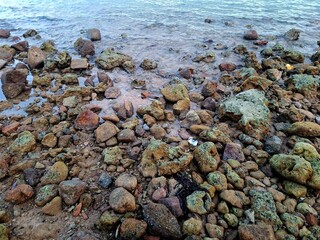 Beautiful rocky beach atmosphere