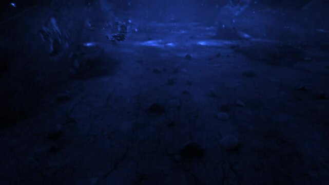 phoenix Fire bird. flaming phoenix intro. Fire bird element overlay