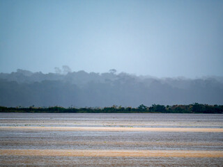 Amazon river landscape, taken on a rainy day.
