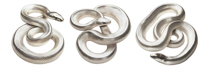 Coiled silver snake sculpture with detailed scales isolated on white transparent background, reptiles or wildlife, symbolizing Chinese Lunar New year