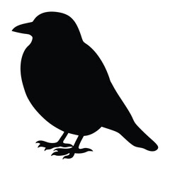 Black Silhouette of a Bird Illustration Graphic Design