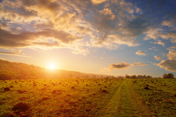 Peaceful meadow landscape with golden sunset creates serene mood. Idyllic rural scene for posters, calendars, nature themes and backgrounds.