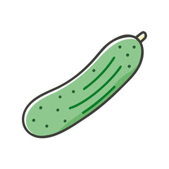  Fresh Whole Cucumber for Culinary Creations