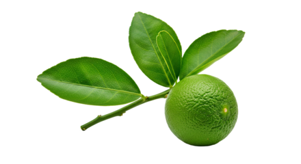 Whole Sweet Lime Isolated White Background Citrus Limetta Mosambi Fresh Citrus Fruit Cutout Palestin