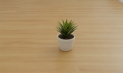 Fototapeta premium Single Green Succulent Plant in White Pot on Smooth Wooden Floor Surrounded by Minimalistic Interior Design and Natural Light