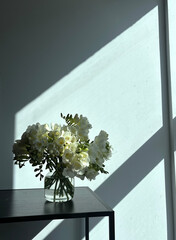 White flowers in daylight, minimalist photo