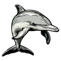 Fototapeta premium Dolphin, marine life, vector, transparent background