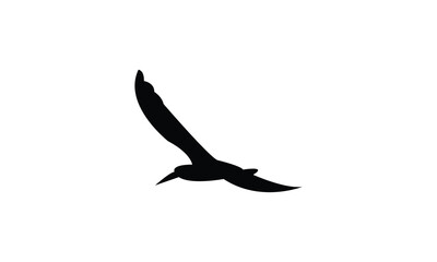Flying African skimmer bird Silhouette Design  And Vector Illustration. 