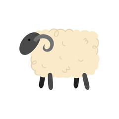 cute carton sheep illustration