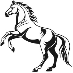 Reared Horse Silhouette, Black and White, Rearing Stallion, Strong, Powerful