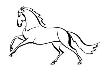 Elegant line drawing of a prancing horse with flowing mane
