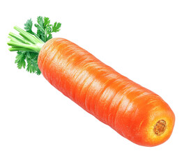 carrot vegetable - fresh orange root vegetable with green tops isolated