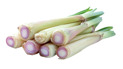 lemongrass stalks - fresh herb bundle - isolated on black