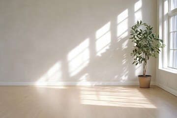 Fototapeta premium Sunlit room with plant. Bright and airy space with natural light streaming through a large window, casting shadows on the white wall. A potted plant sits in the corner