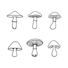 Abstract Mushroom Line Art with Delicate Detailed Style