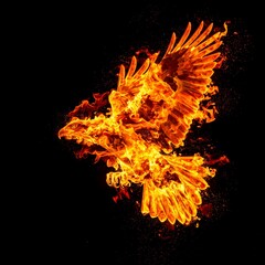 burning fiery bird flies on a black background.