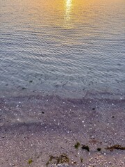 Gradient shoreline scene blending warm golden reflections on the water with cool blue tones and muted purples in the sand, dotted with green seaweed and pale shell fragments.