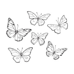 Butterfly flying in elegant decorative line art style