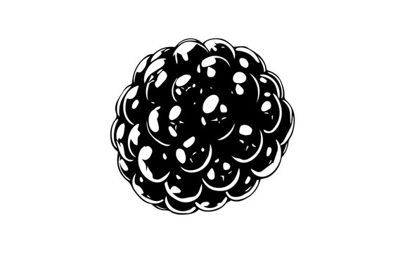 black and white blackberry fruit clip art preview