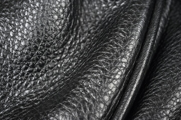 背景に最適な画像14