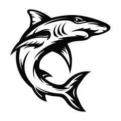 Black and White Shark Curving, Fierce Marine Predator, Sharp Fin, Ocean Wildlife