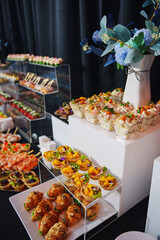 Elegant buffet display featuring gourmet appetizers and desserts at an event