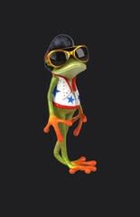 Fun 3D cartoon rocking frog