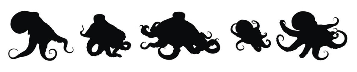 Octopus silhouette bundle. Octopus with tentacles silhouette set vector. Octopus crawling silhouette bundle design. Sea creatures vector on a white background. Squids in different positions.