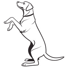 Standing Dog Outline, Silhouette of Labrador Retriever, Black Line Art Style, Collar
