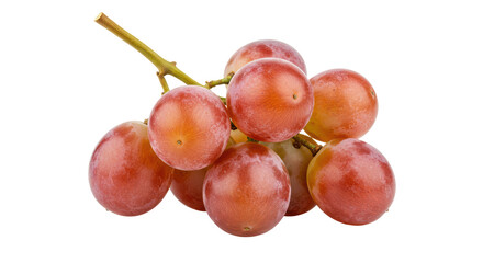 Isolated Bunch of Red Grapes on Stem