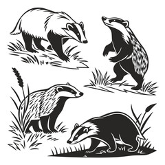 Badger Silhouettes Collection, Wildlife in Grass, Forest Animals, Black and White Design © Shipon