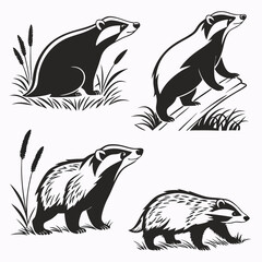 Black and White Badger Silhouette Set, Wildlife Animals in Nature, Walking, Standing