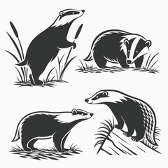 Badger Silhouettes Set Wildlife Mammals in Black and White Minimalist Design Style