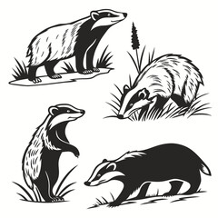Badger Silhouette Set, Black and White Wildlife with Grass Detail and Outline
