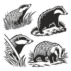Badger Set Black & White Stylized Illustrations of European Badgers in Various Poses