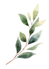 Botanical Illustration of Green Leaves Nature Artwork Studio Close-Up Freshness and Serenity