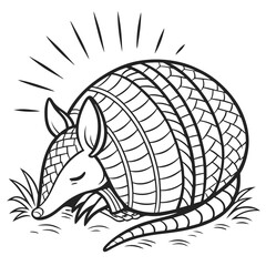 Cute Line Art Armadillo Curled Up Sleeping in Grass with Shining Effect on White