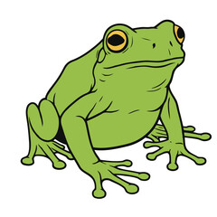 Illustration of a green frog with large, round, yellow eyes.