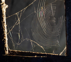 Sunlight on spider's web in old window frame