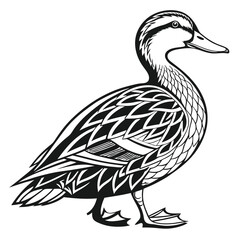 Black and White Duck Illustration, Detailed Feather Texture, Side View, Isolated