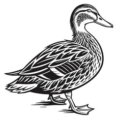 Duck Black and White Stylized of Standing Mallard Duck Bird